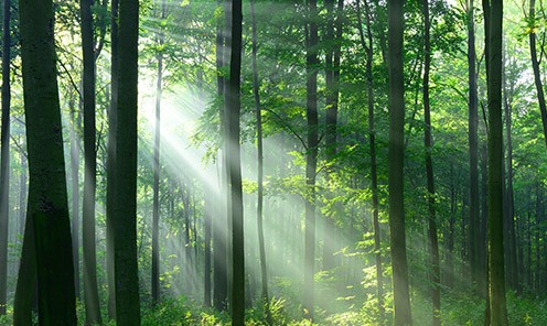 恒峰g22科技公司深度报告:重启航,走进“低碳”新时代